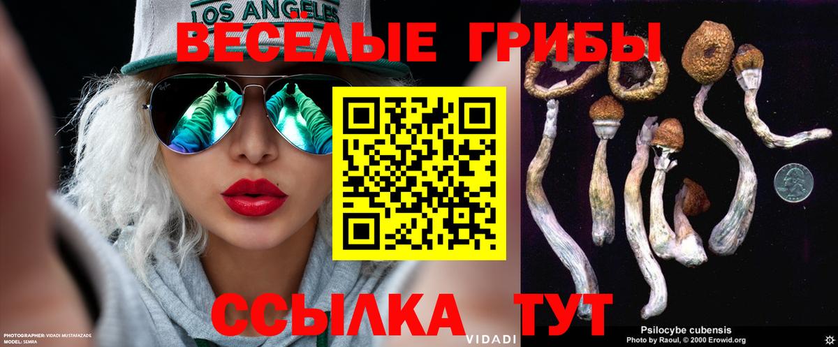 Стрежевой  Псилоцибиновые грибы Cubensis  Вход с VPN  Псилоцибиновые грибы Psilocybe 